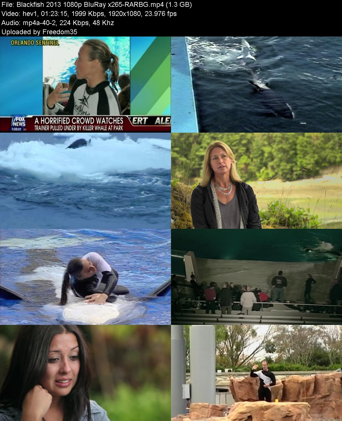 Blackfish-2013-1080p-Blu-Ray-x265-RARBG.