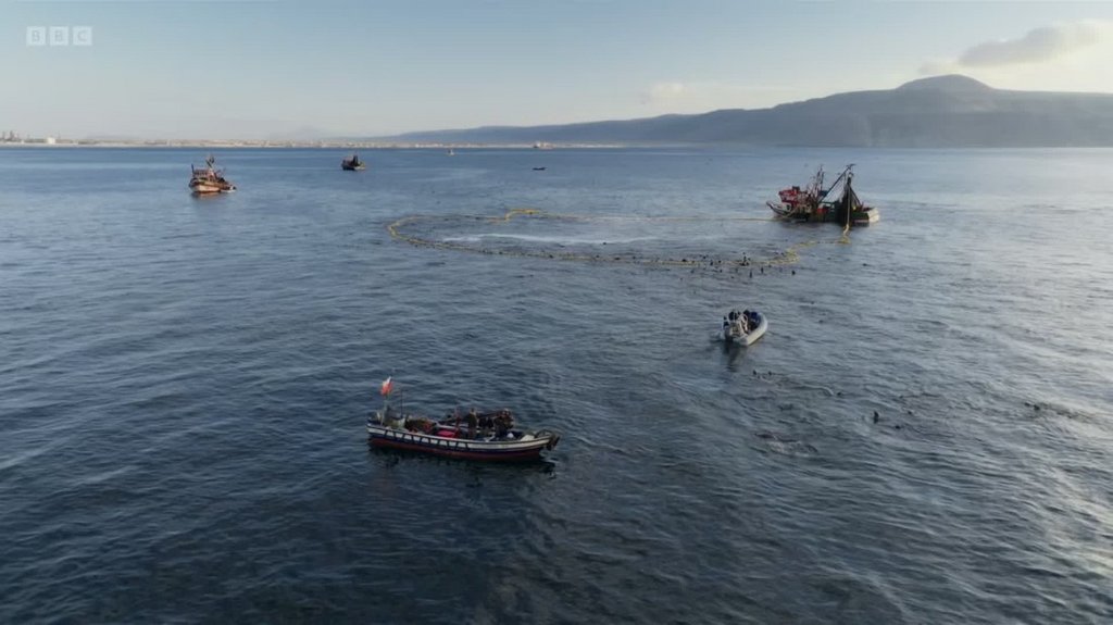 [Image: 3krumv9x0ij2.jpg]