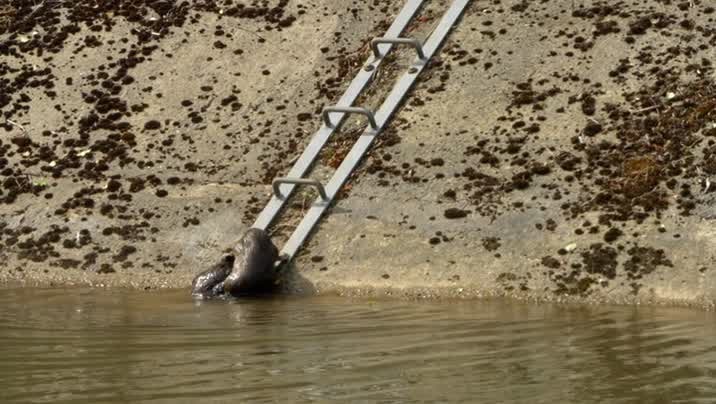 [Image: 4v59d5envqnu.jpg]