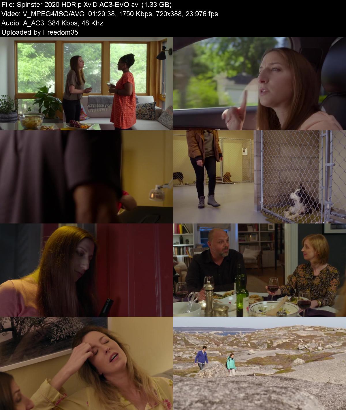 Spinster-2020-HDRip-Xvi-D-AC3-EVO.jpg