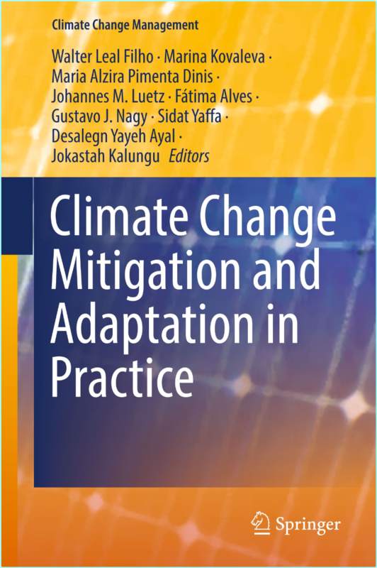 Filho W Climate Change Mitigation And Adaptation In Practice 2025