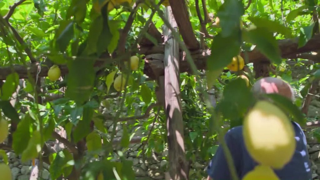 [Image: iqqusv8618ag.jpg]