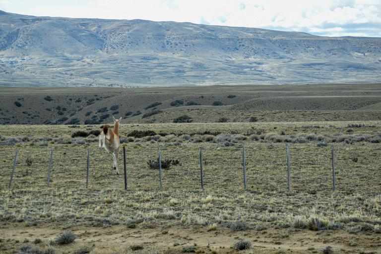 В джазе только девушки или аргентинско-бразильский калейдоскоп В джазе только девушки или аргентинско-бразильский калейдоскоп
