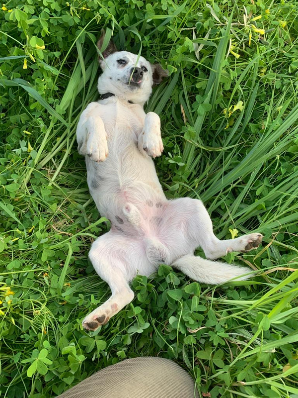 7B8311D1-7DD3-4FA2-9A45-35EF5A1EF92C