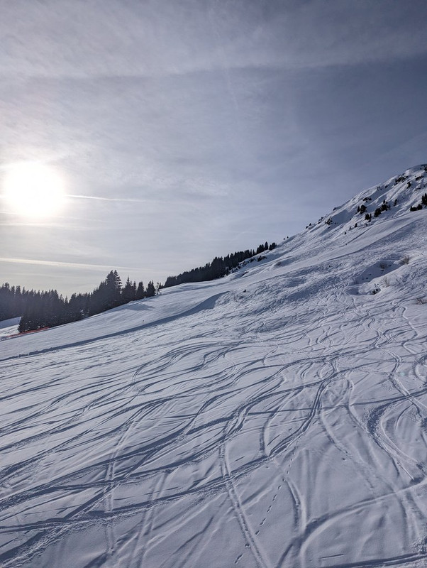 PXL_20240121_105419386