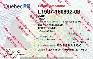 Canada - Québec (QC) Driving Licence_cleaned