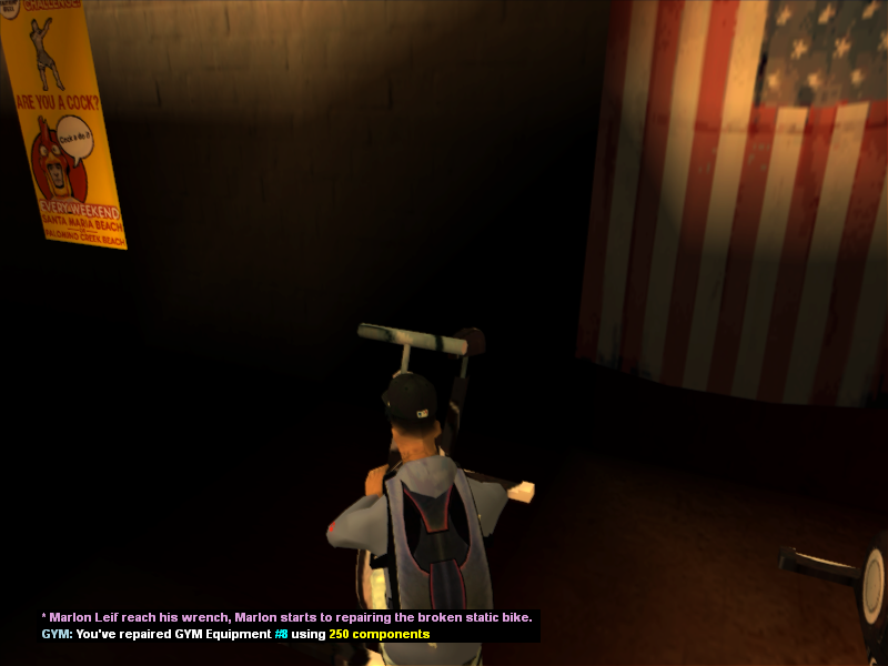 SS53.png
