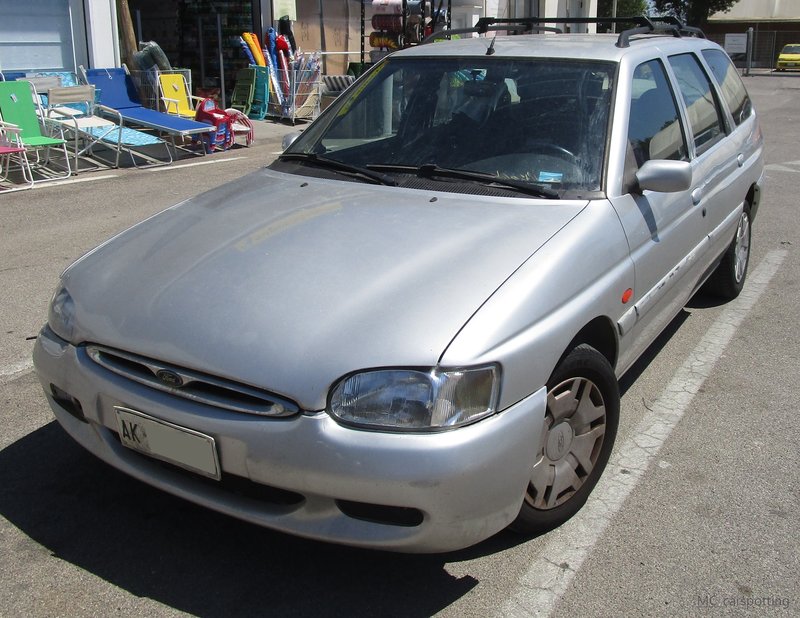 IMG-7411.jpg