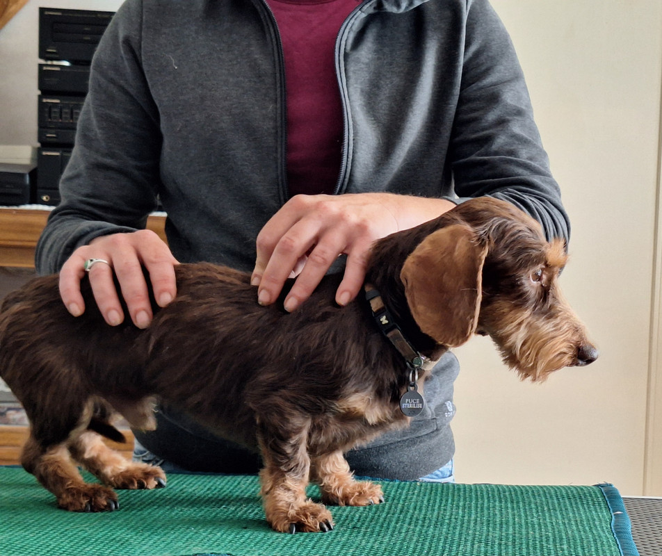 [Image: 20240702-163915.jpg]