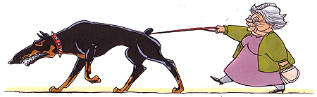 Dog-granny-walk