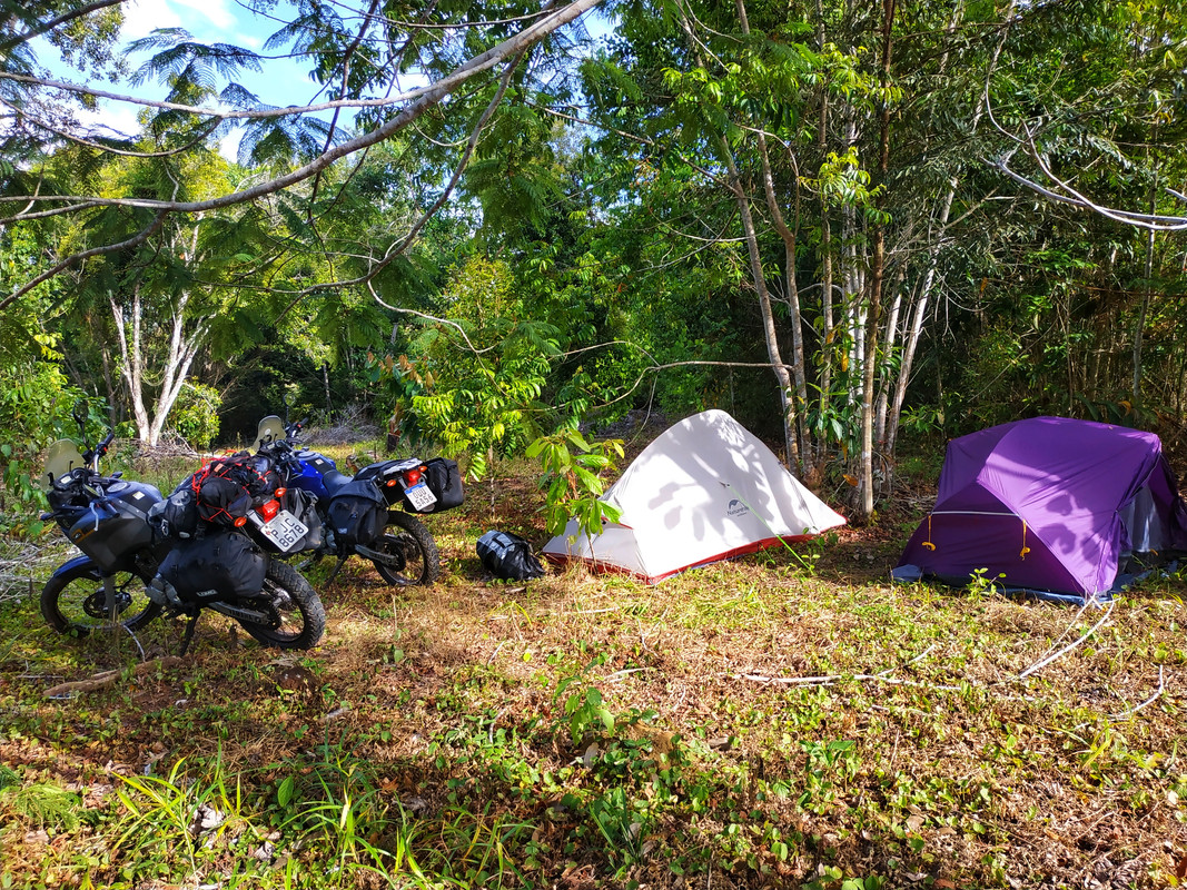 IMG-20190106-074423-01.jpg