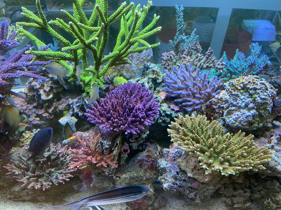 055B36BE-4FFD-407F-8E40-678BE3C6A96D