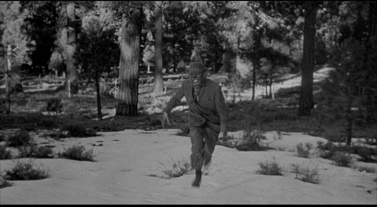 THE WEREWOLF REFERENCE (5)