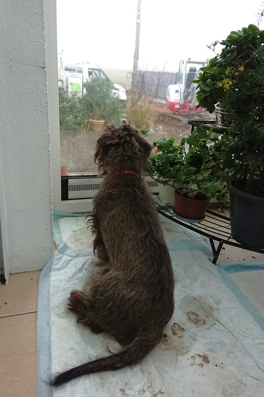 [Image: DSC-3541.jpg]