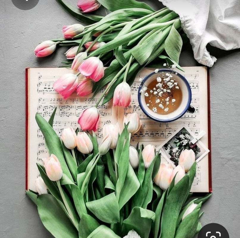 Screenshot_20230421_000228_Pinterest