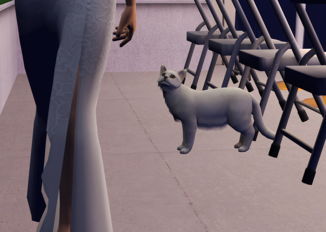 Sims2-EP9-RPC-2023-12-13-21-24-15-40