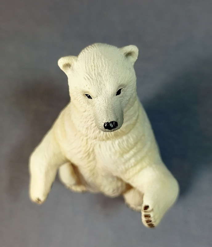 Eikoh - Animal Infinity - Polar bear IMG-20210306-081508