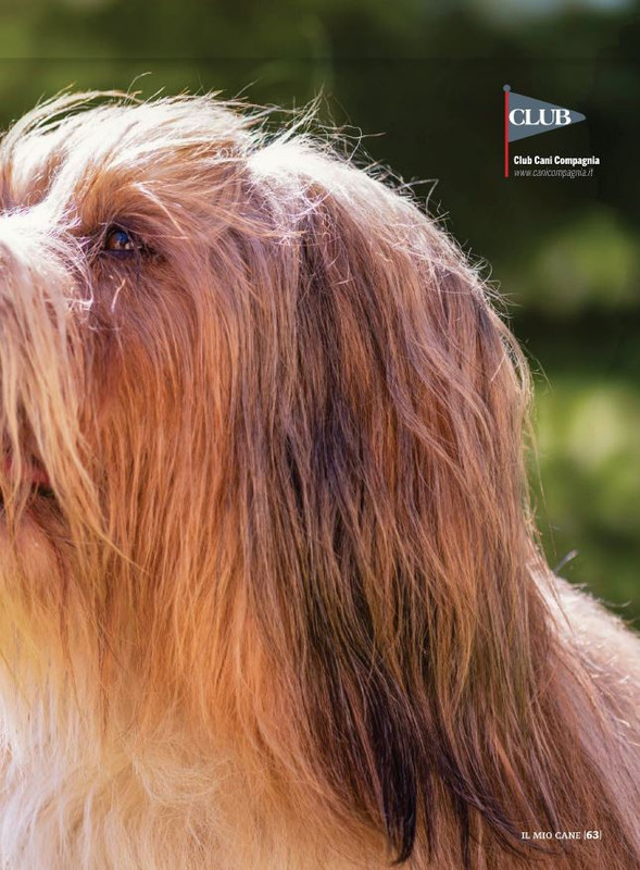 Il M C Feb 2022 (10)