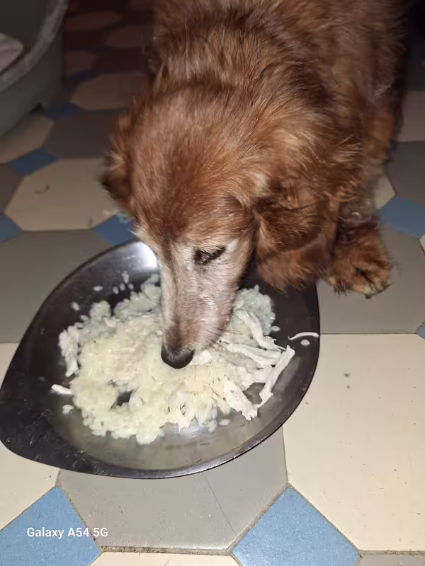 [Image: 20240829-203129.avif]