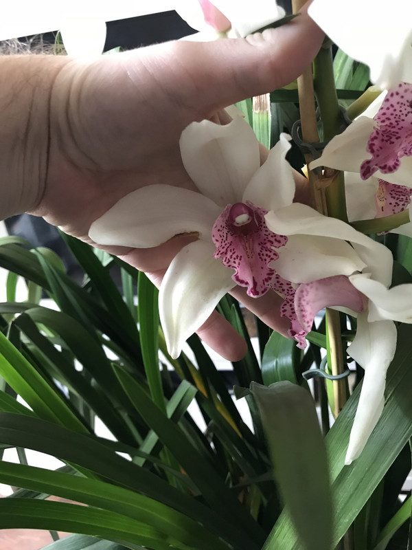 5F0DAEDF-5A1C-4281-8BC6-03154D00806F