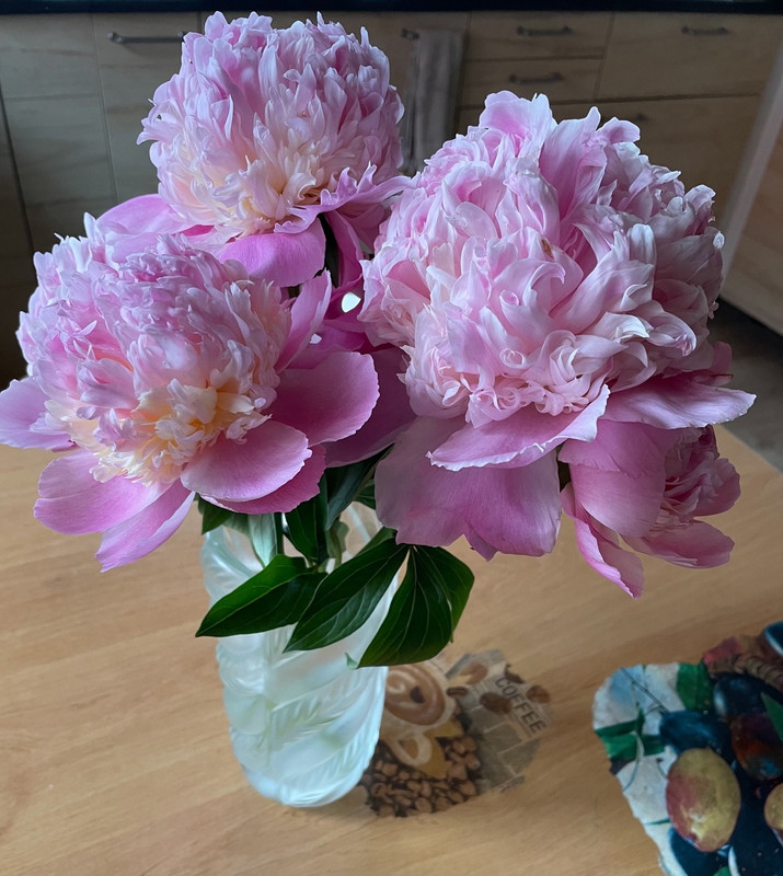 0_676GUDphyYsACuBzqEWc_iEkNGvGbUHGfIj5zNfqvBI0IUCV6dZqVrqIggjwBMjNI_9udi7q6mYT4Ul1FY8h4C