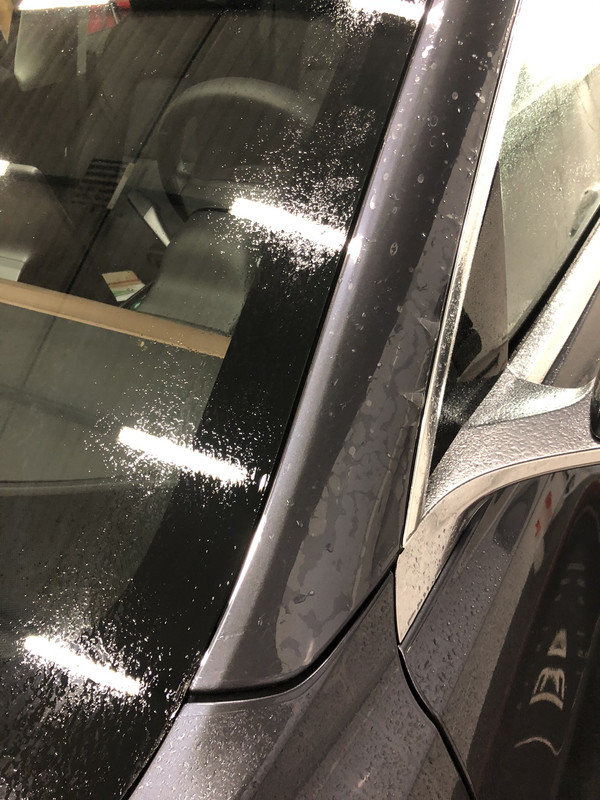 18756F55-504C-4543-A815-C1D492EE91D5