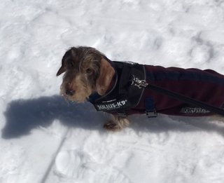 [Image: 656-CE535-1-DC7-4192-BB56-65-F6-BA504558.jpg]