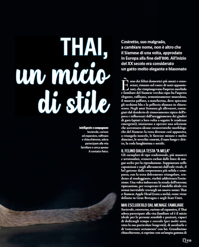 QuattroZampe Mar 2023 (6)