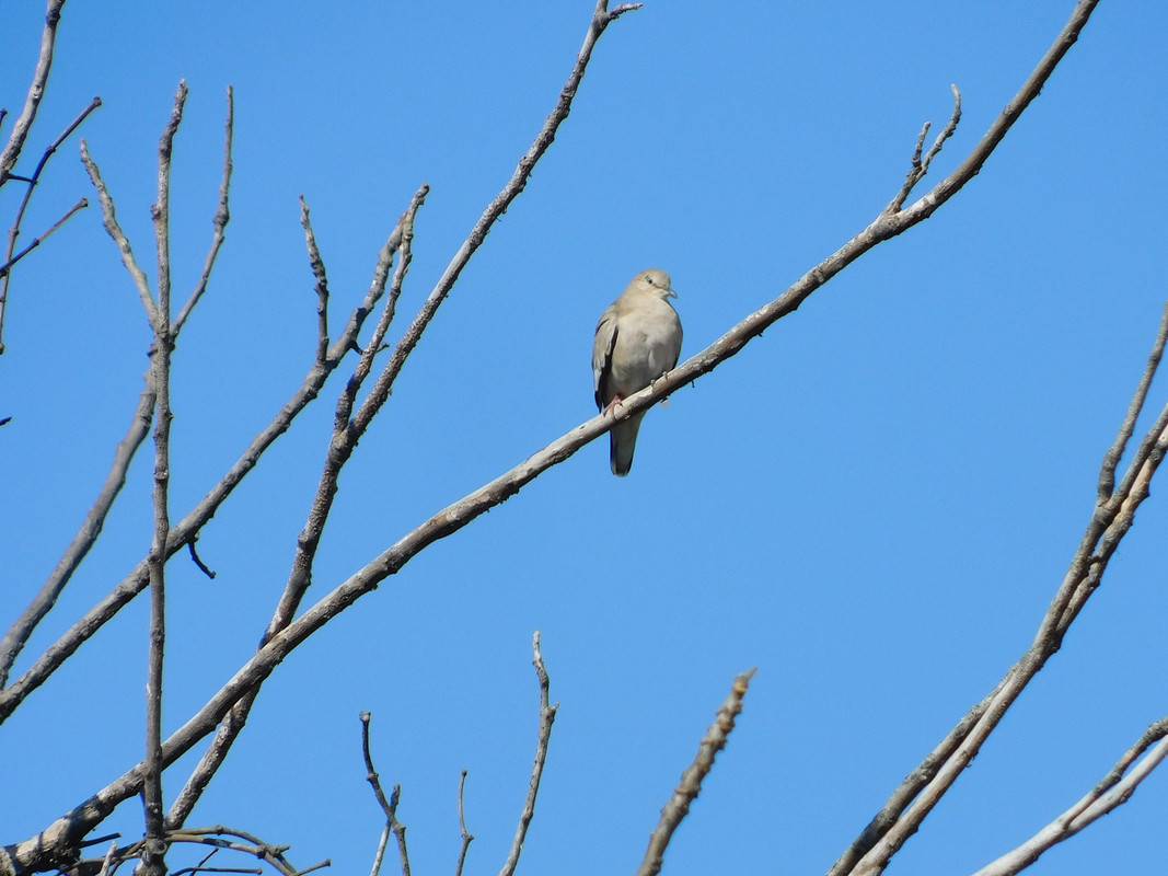 DSCN0490.jpg