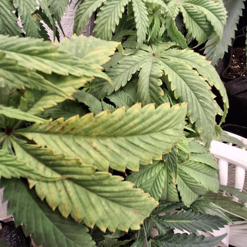 Whats App Image 2026 01 06 at 09 04 02