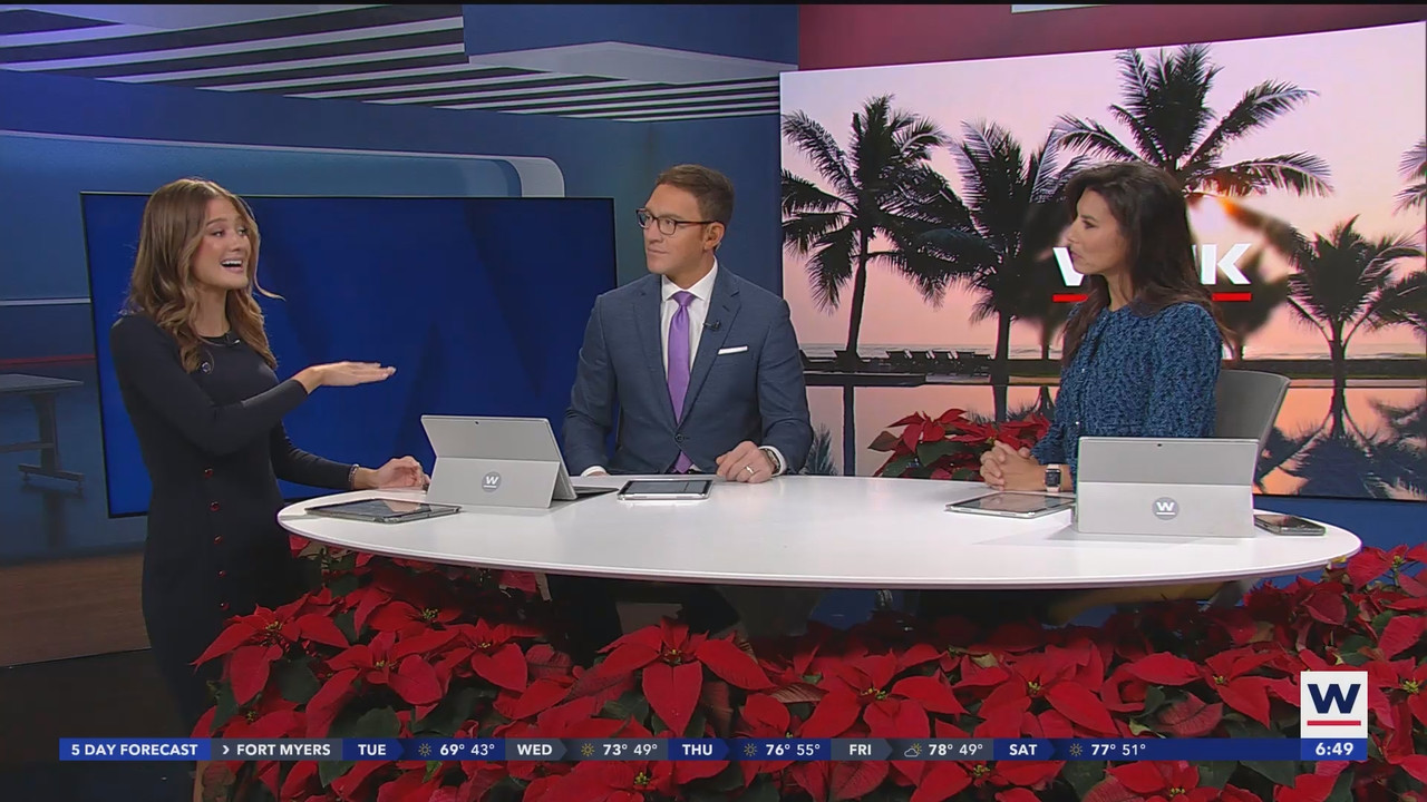WINK News at 630am_20241203_11301200.ts_snapshot_20.43.431