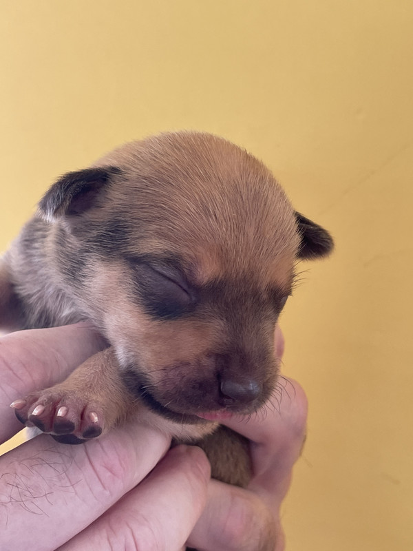 BD13AF2A-2633-45C3-A7D1-4899C2FEDC0A