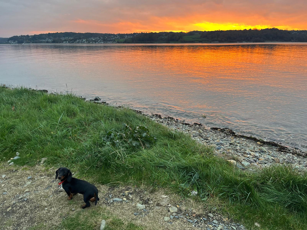 [Image: IMG-20241115-WA0004.jpg]