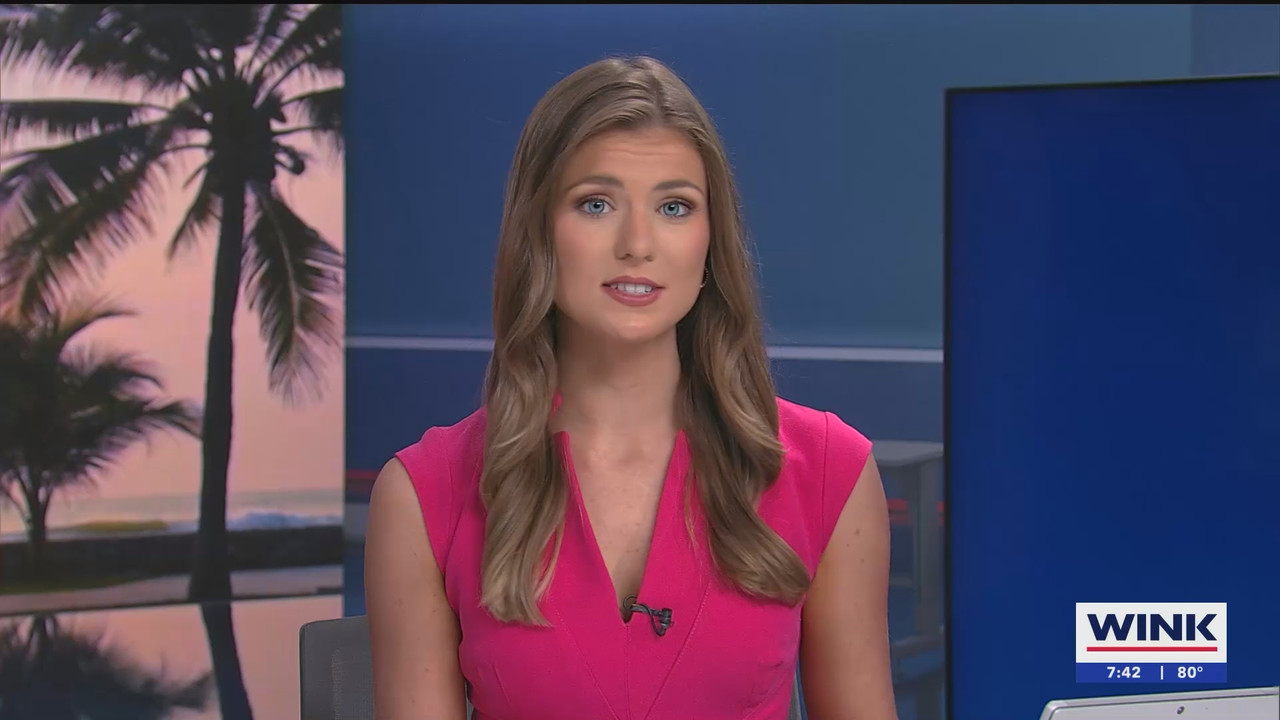 06.09 - 12.00.00 - WINK NEWS at 7 00am Sunday  ᴺᵉʷ. No Description In....ts_snapshot_00.43.18.415