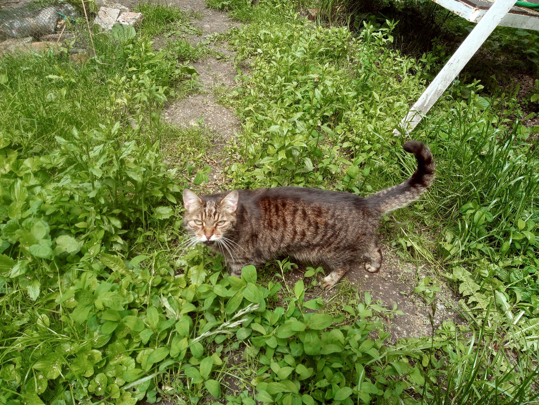 20210602_133533(1)[1]