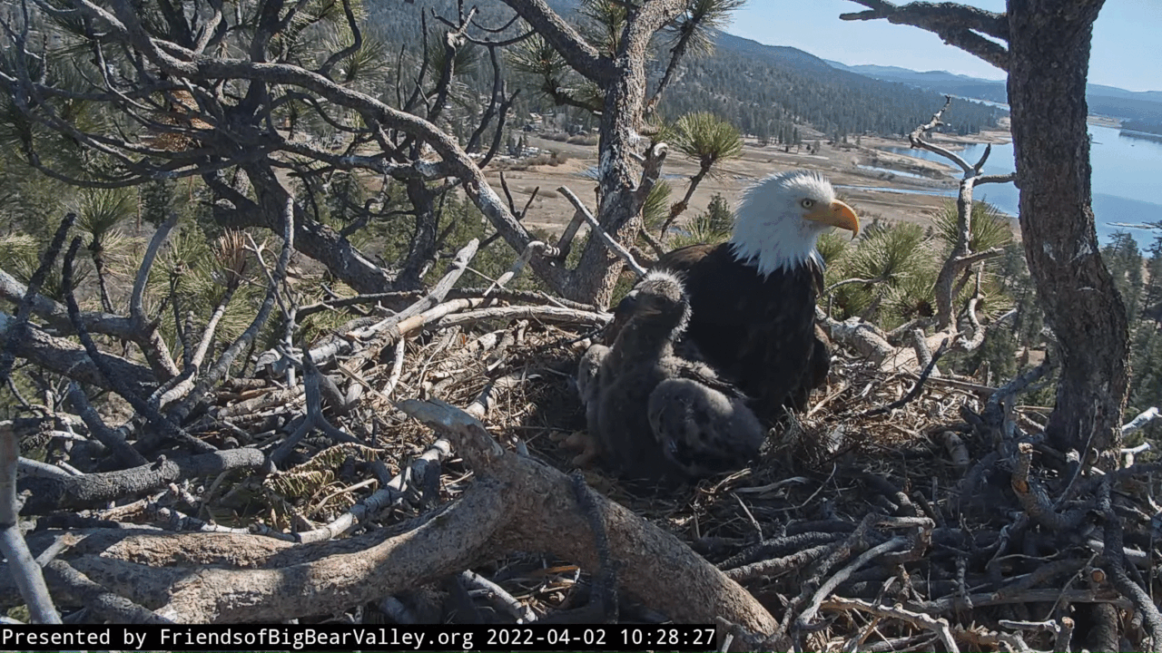 Webp.net-gifmaker (5)