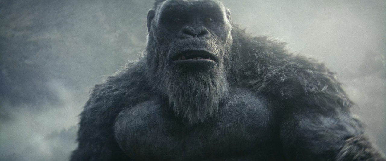 Godzilla x Kong The New EmpSDSR (2)