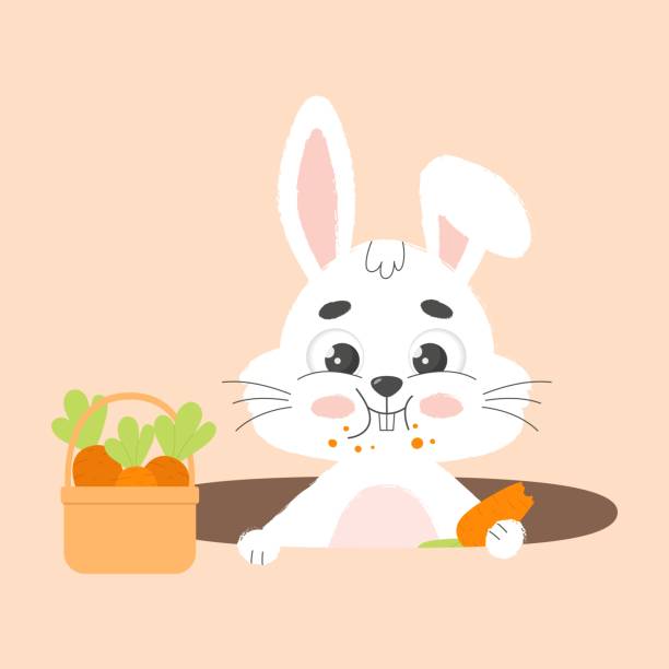 dute-white-easter-bunny-nibbles-carrot-in-hole-cartoon-vector-illustration.jpg
