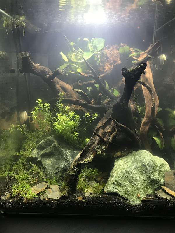 08C5093E-1102-4565-9494-56875DD01CAD