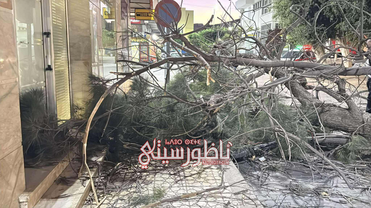 566231057-1163081688638338-8070041528993846947-n