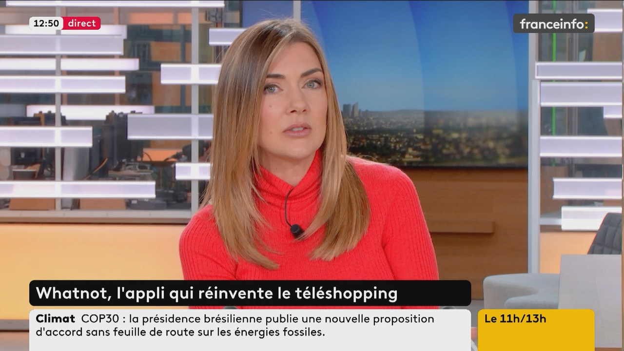 Le 11h 13h (Franceinfo) 2025 11 21 09 54 33 ts snapshot 01 57 35 523