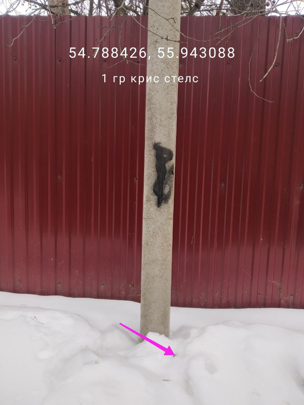 photo 2026 01 30 06 04 23