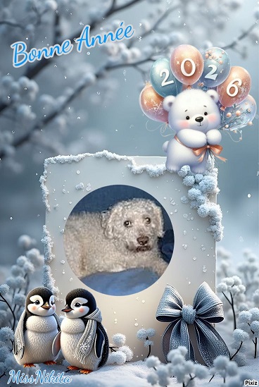 pixiz 30 12 2025 15 05 58