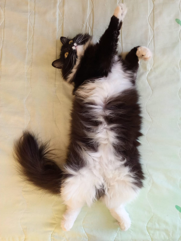 B4448907-BEA4-4EE2-AB1A-107E8DAD62E5