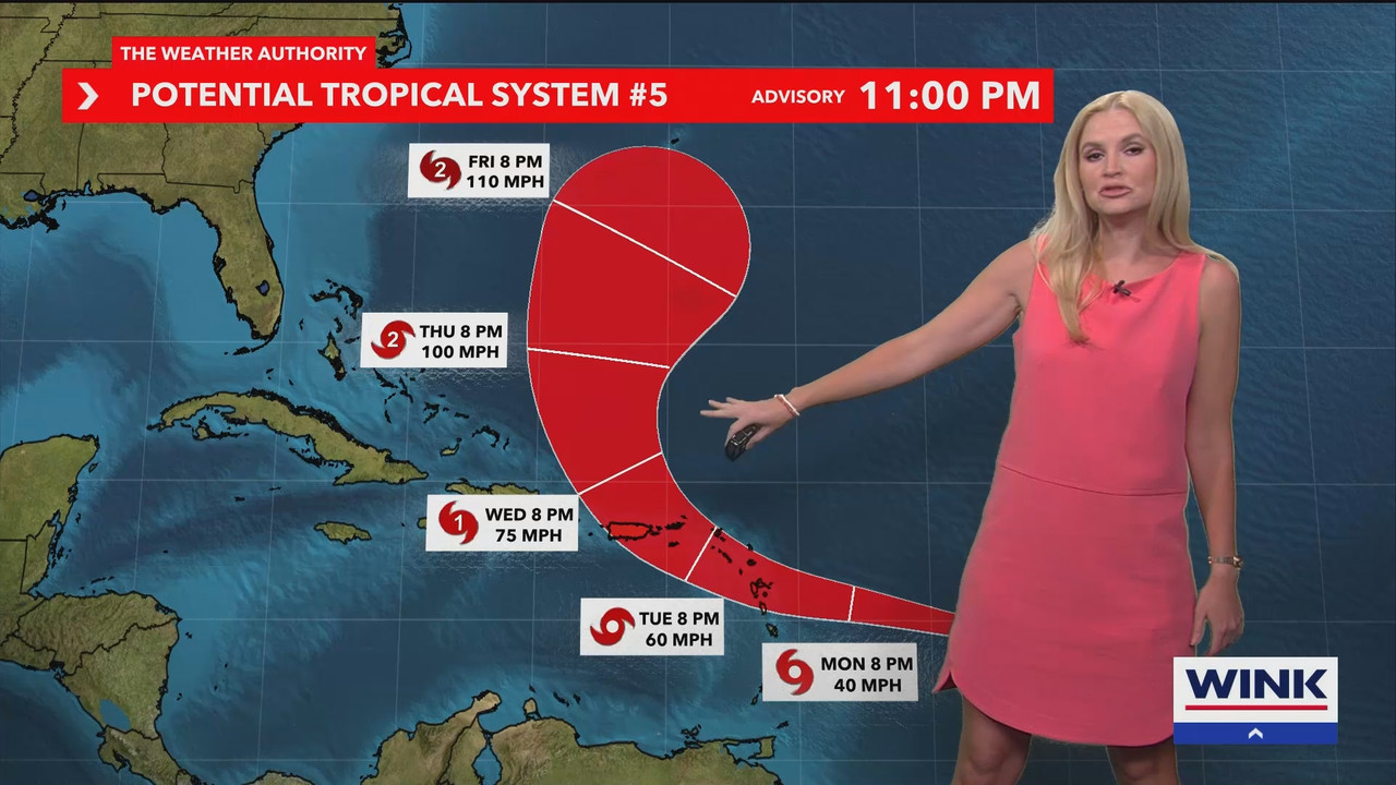 08.12 - 04.00.00 - WINK Weekend News at 11PM Sunday  ᴺᵉʷ. No Descript....ts_snapshot_00.51.15.183