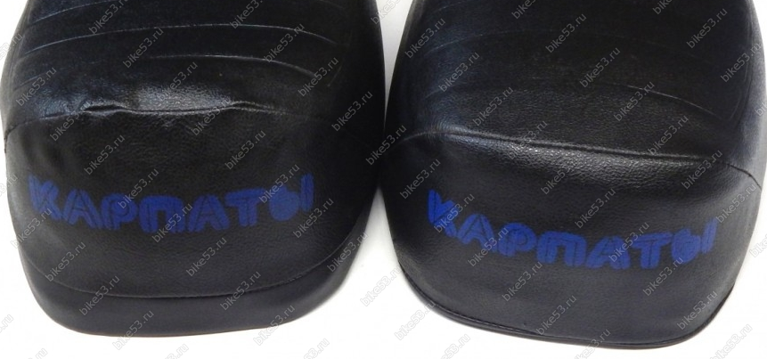 карпатысиний