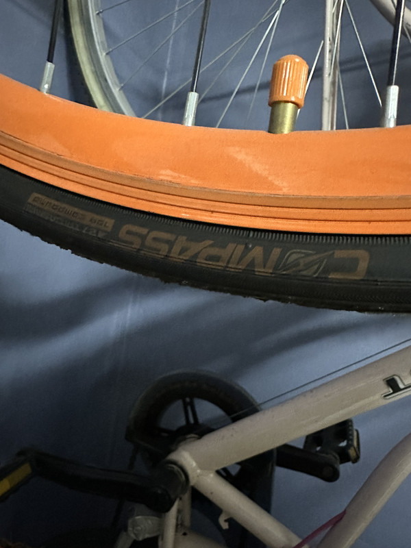 93D75565-907B-431F-B4C8-B4CBD2A3D227