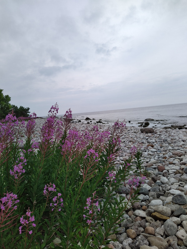 IMG_20210707_170916