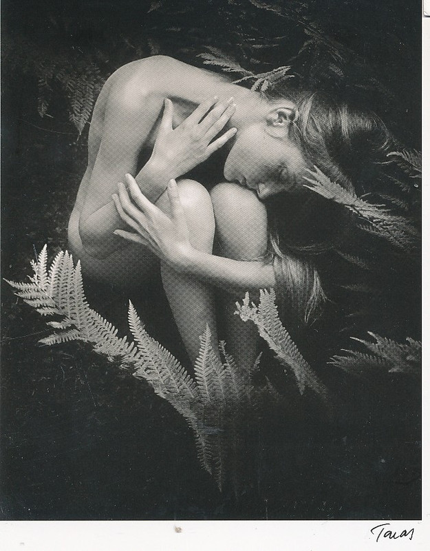 Unbenannt-Scannen-02