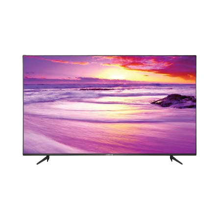 TV 55 Inci